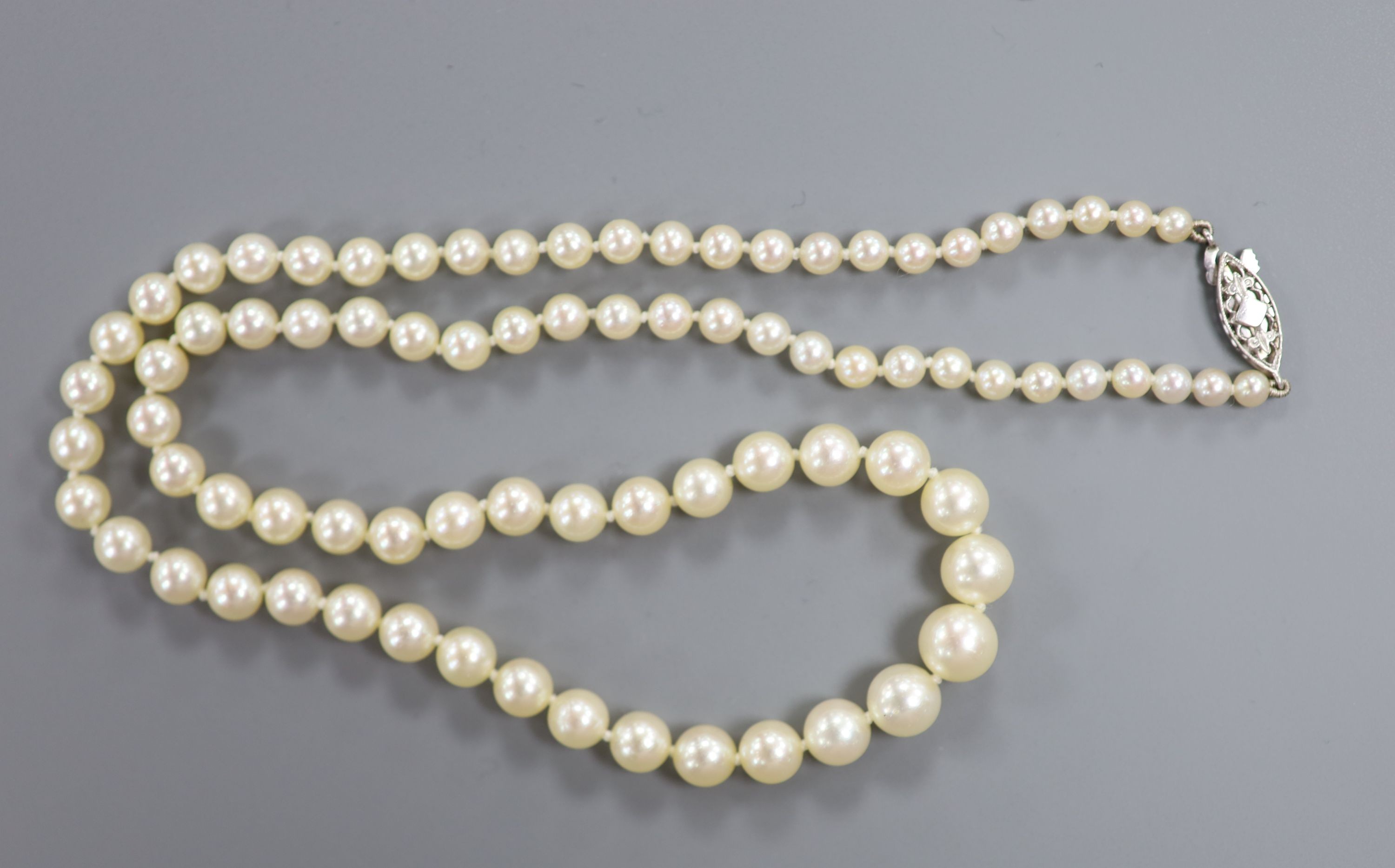 A single strand graduated cultured pearl necklace with white metal clasp, 44cm.